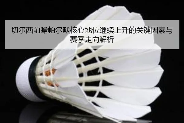 切尔西前瞻帕尔默核心地位继续上升的关键因素与赛季走向解析